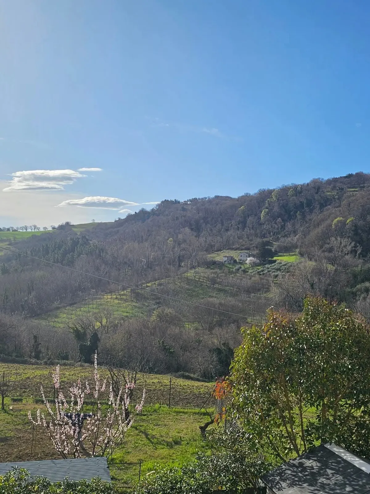 camere cingoli soggiorno