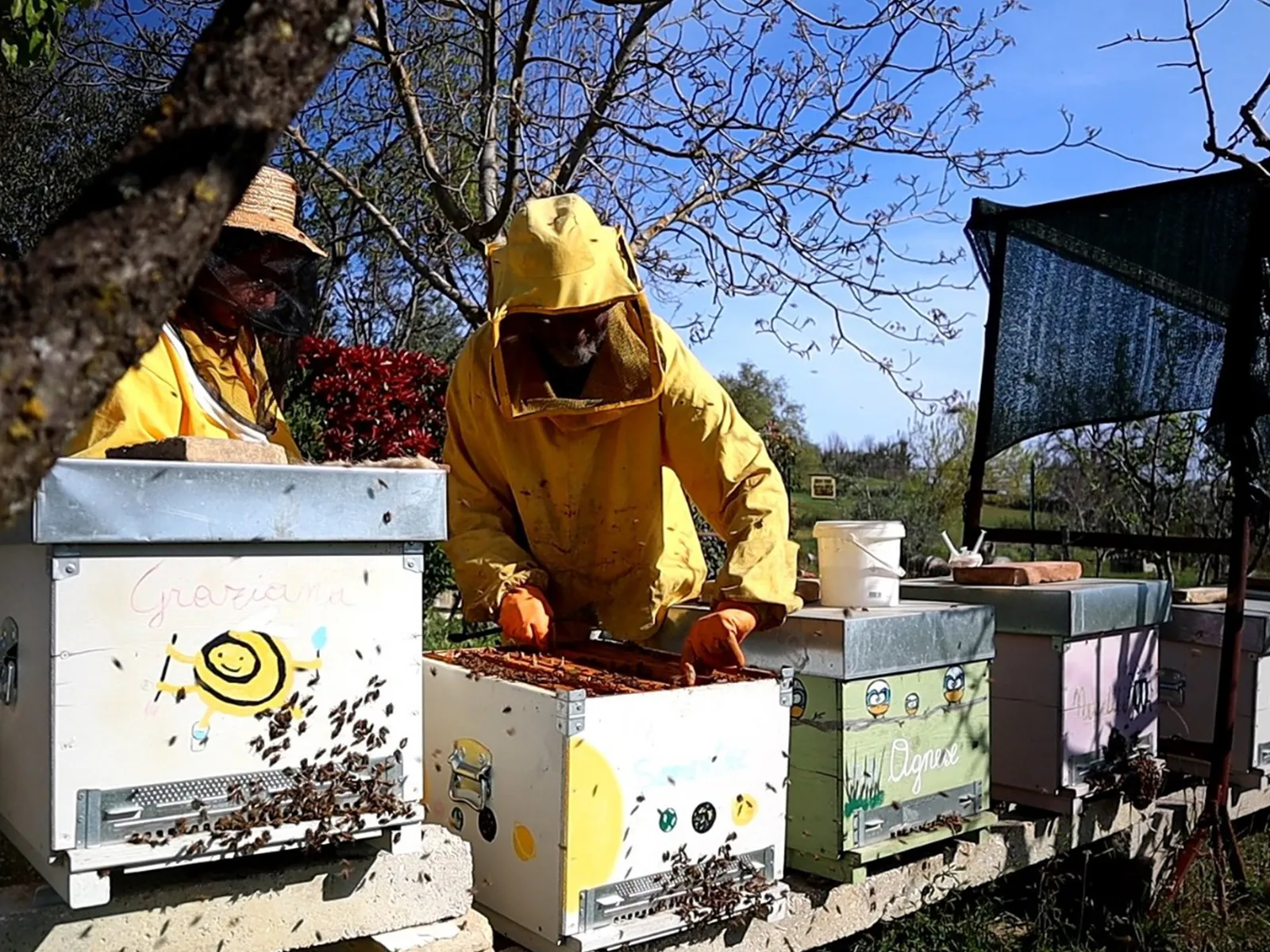 esperienza-con-le-api